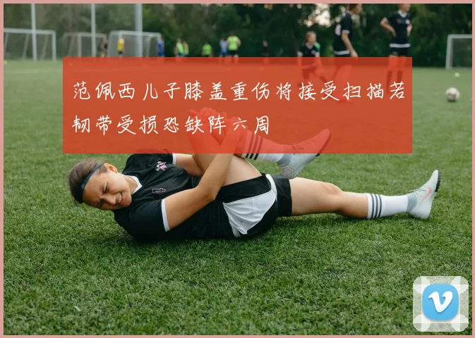 范佩西儿子膝盖重伤将接受扫描若韧带受损恐缺阵六周